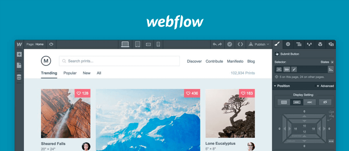 opinion webflow