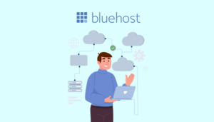 bluehost opiniones